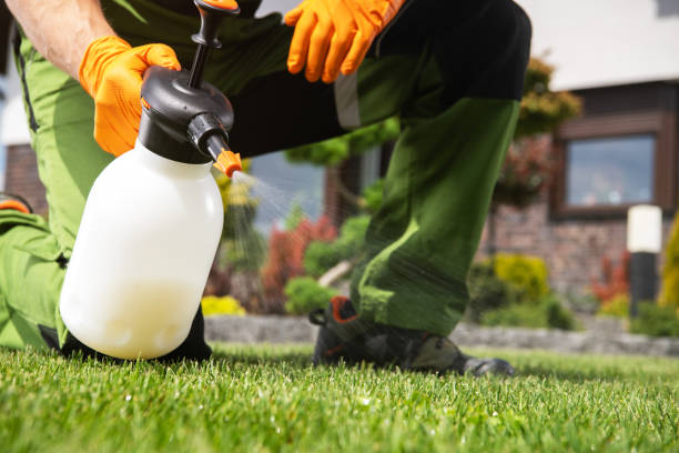 Best Pest Removal Services  in Killen, AL