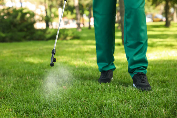 Best Pest Control for Homes  in Killen, AL