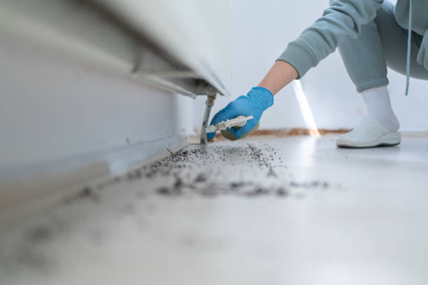 Best Wildlife Control Services  in Killen, AL