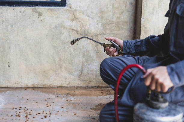 Best Emergency Pest Control  in Killen, AL